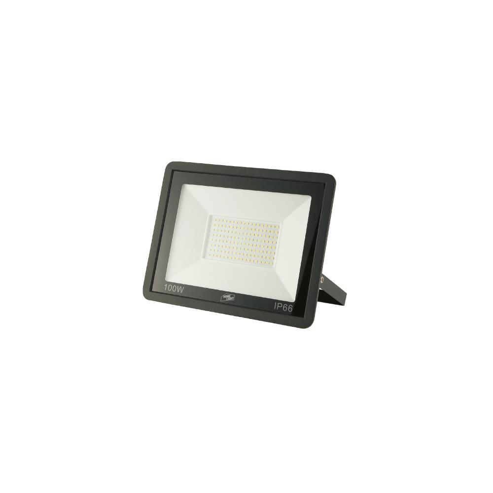 REFLECTOR LED DELUXE 100W L/DIA HOME LIGHT