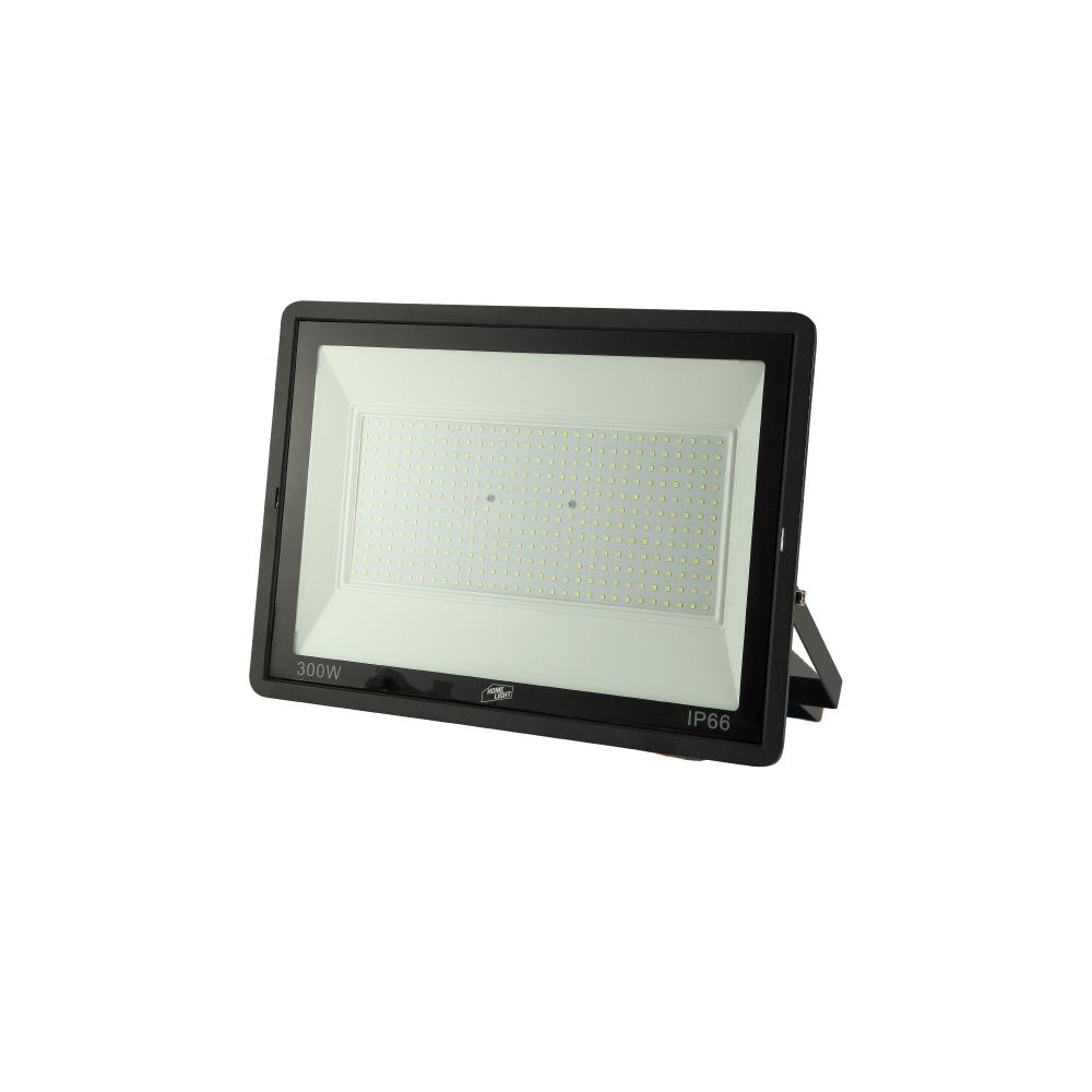 REFLECTOR LED DELUXE 300W L/DIA HOME LIGHT